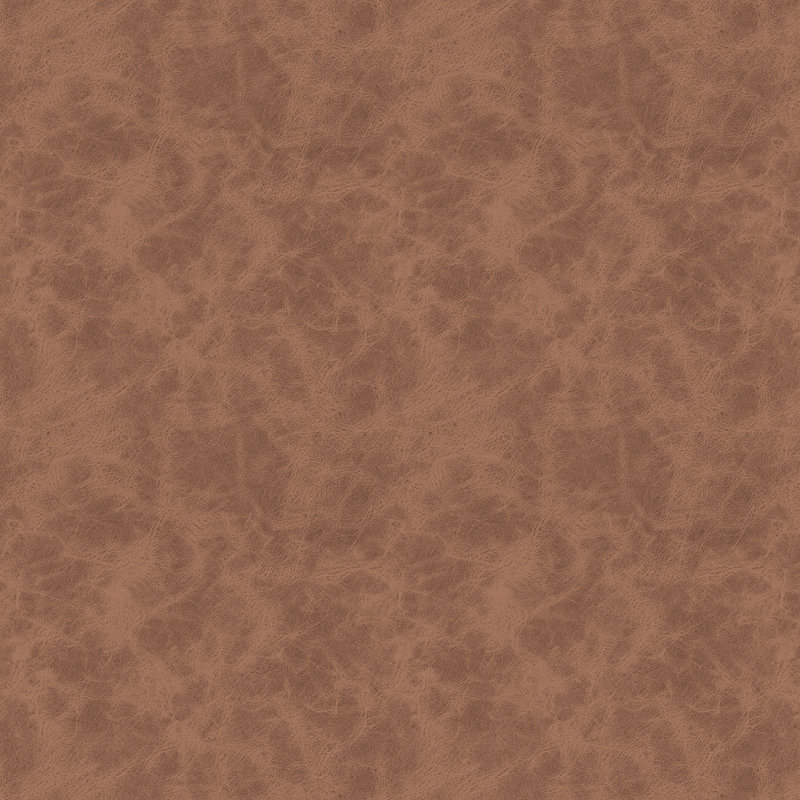 Brown "Leather" 12x12, 15 Sheets