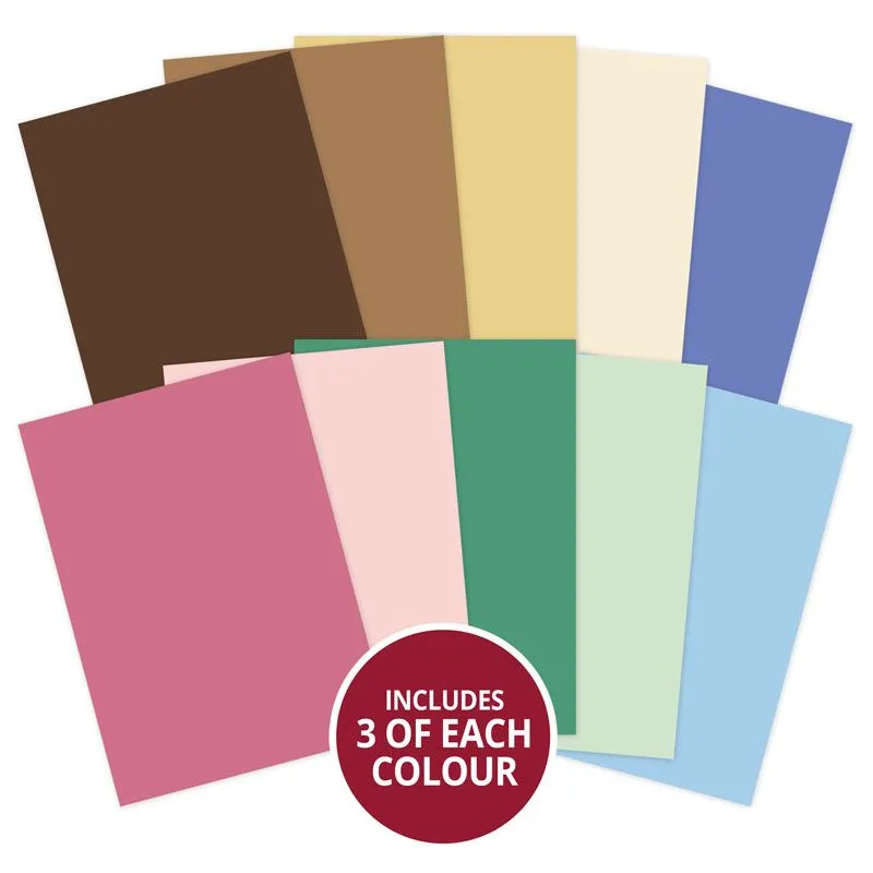 Spring Birdsong Matt-tastic Adorable Scorable Selection