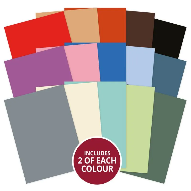 Muddy Paws Adorable Scorable Selection