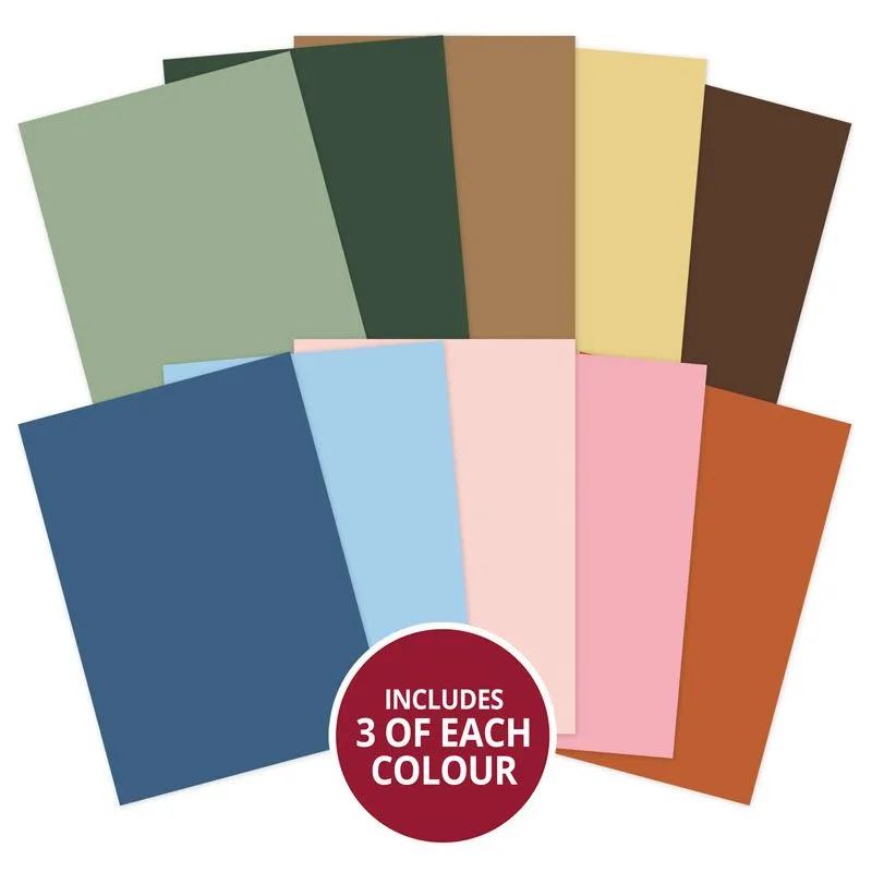 A Woodland Story Matt-tastic Adorable Scorable Selection