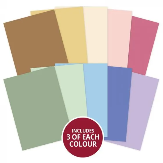 Wildflowers Matt-tastic Adorable Scorable Selection