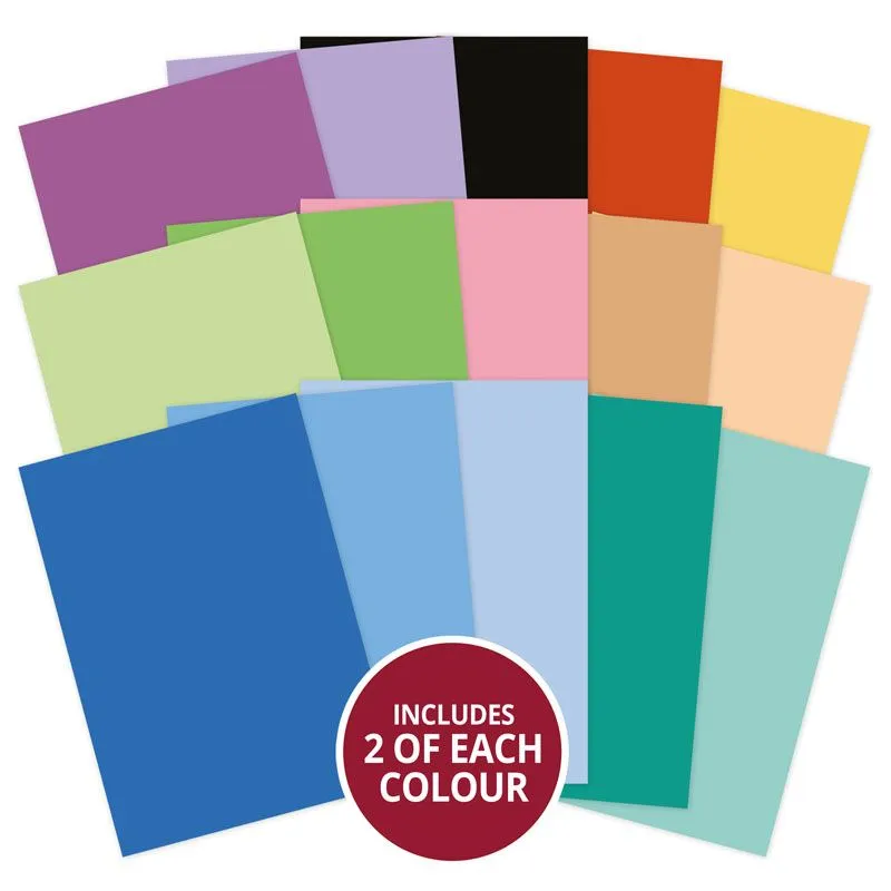 Sporting Silhouettes Adorable Scorable Selection