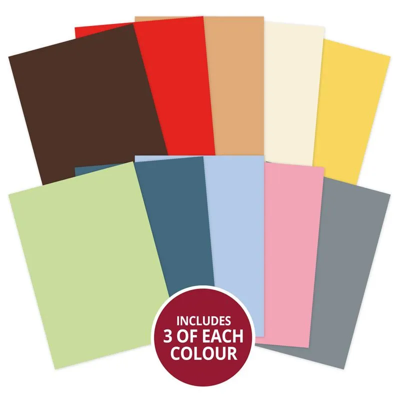 Curious Cats Adorable Scorable Selection