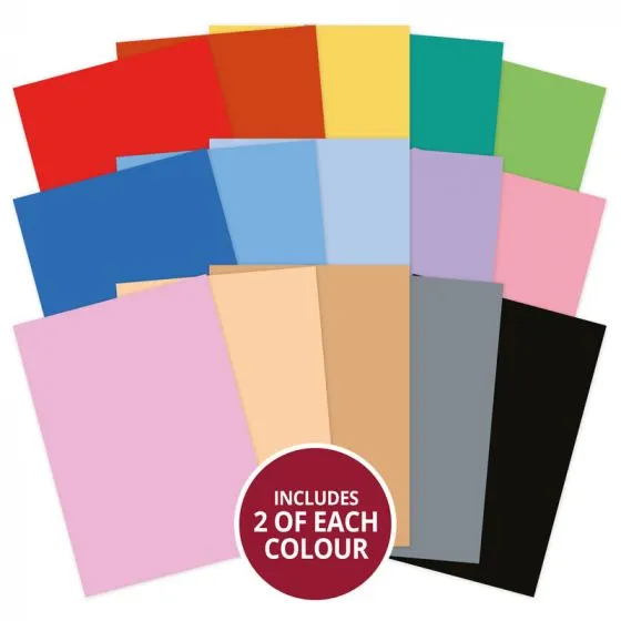 Cutest Celebrations Adorable Scorable Selection