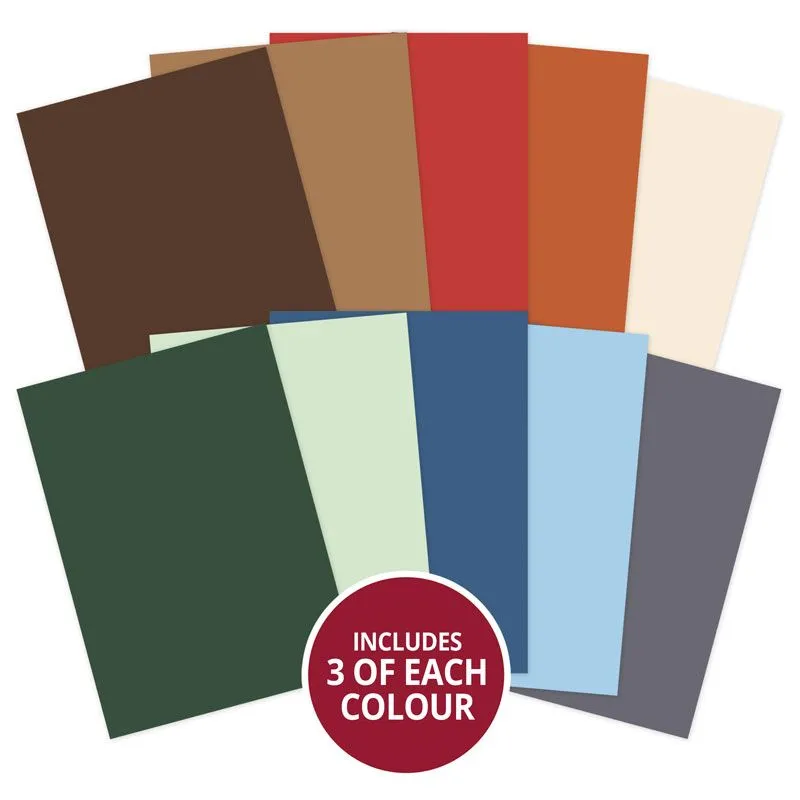 Picturesque Pastimes Matt-tastic Adorable Scorable Selection