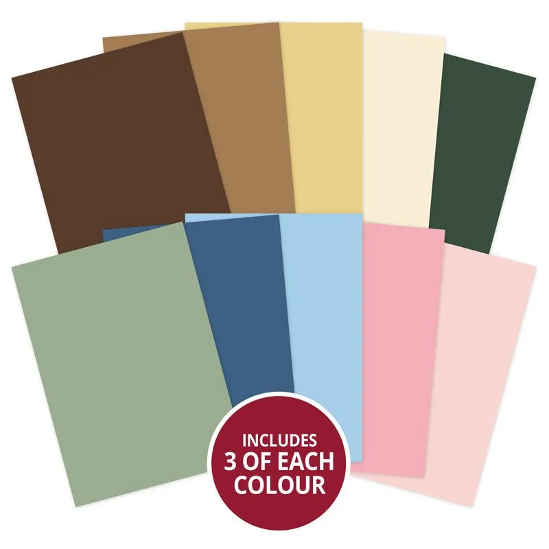 Birthday Surprise A Woodland Story Matt-tastic Adorable Scorable Selection