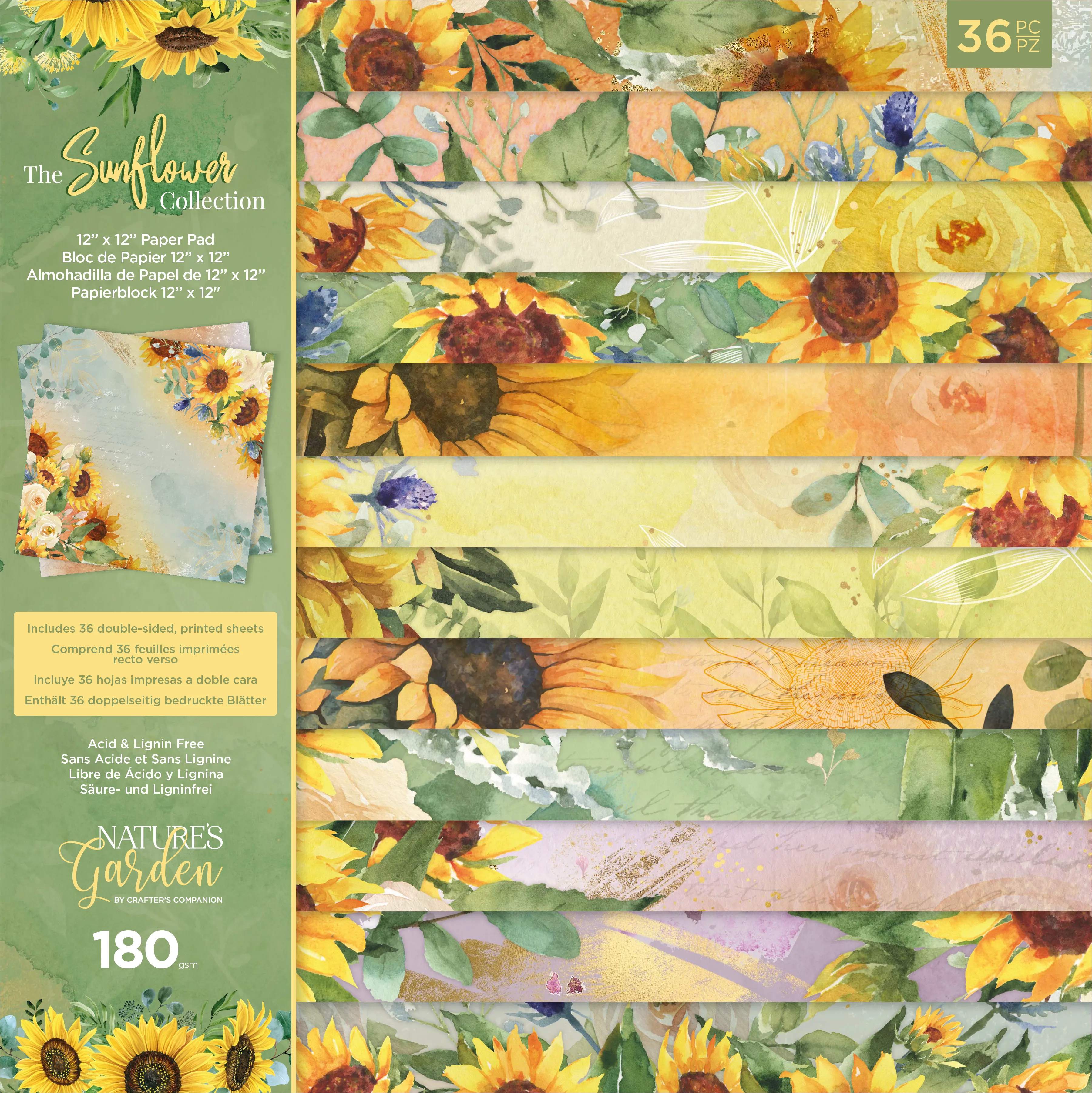 Sunflower 12