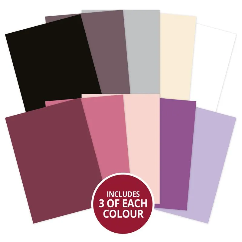 Enchanted Moments Matt-tastic Adorable Scorable Selection