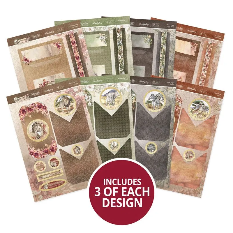 Savannah Surprise Concept Card Kit
