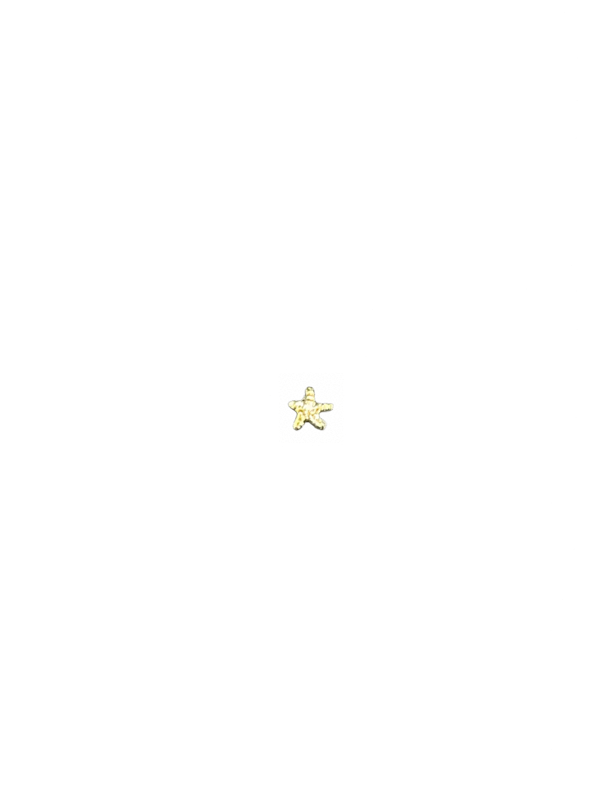 Starfish Inclusions, 30 gold pieces
