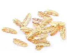 Feather Inclusions, 20 gold pieces