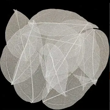 White Skeleton Leaves, 10 pieces