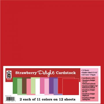 12 X 12 Cardstock Sheet: Fuchsia Fizz –