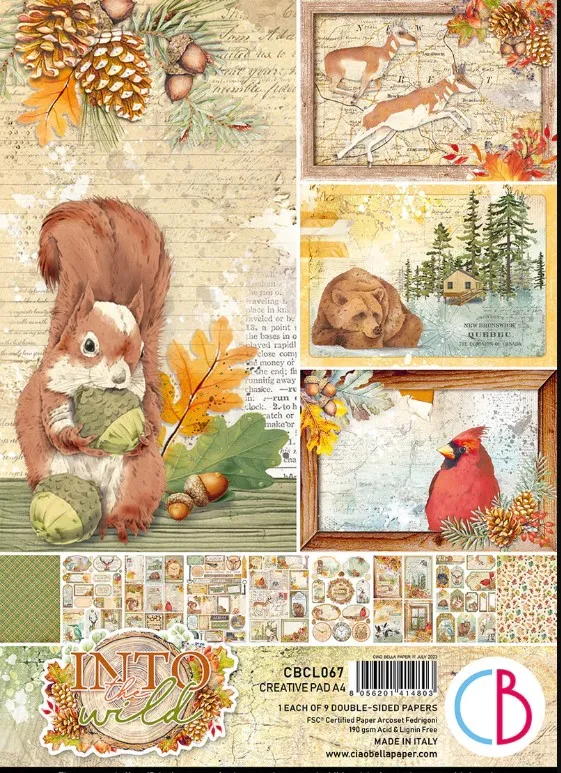 Into the Wild Creative Pad A4 9/Pkg