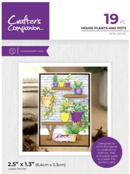 House Plants & Pots Dies