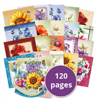 The Square Little Book of In Full Bloom