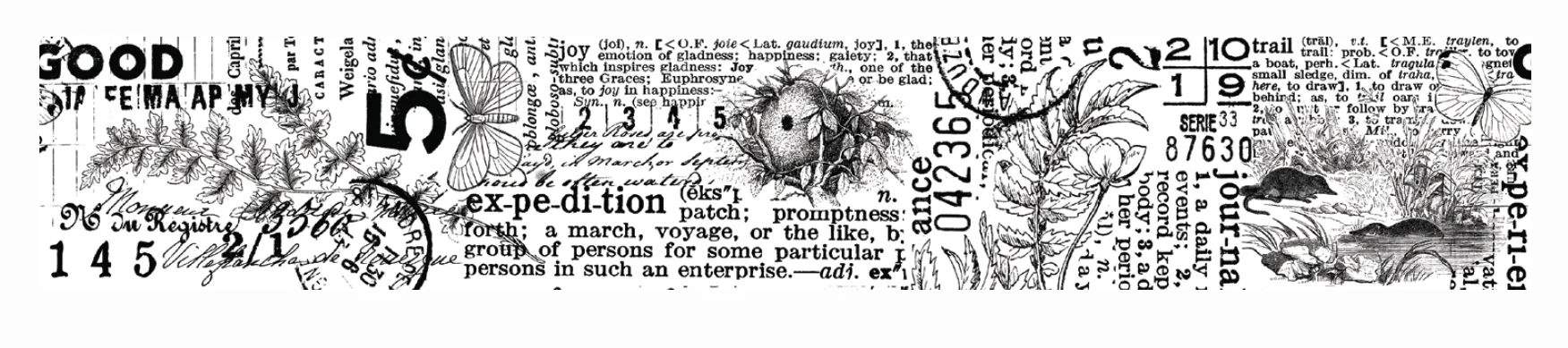 Hidden Creek  Journal Kiss-Cut PET Tape, 2