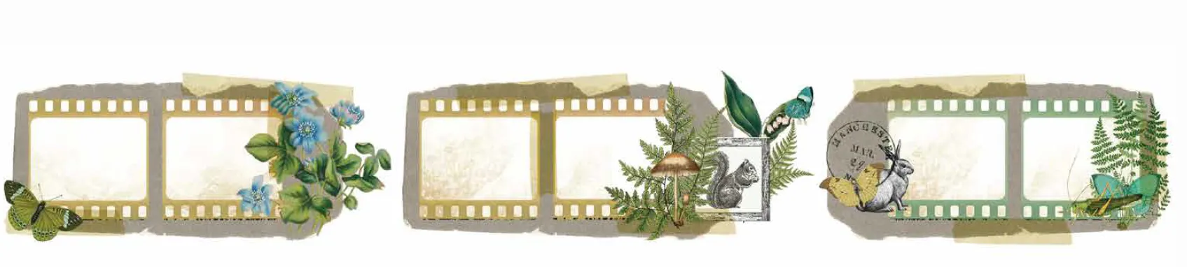 Hidden Creek Filmstrip Kiss-Cut PET Tape, 2