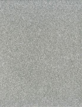Silver Non-Shed Glitter Cardstock 8.5"x11"