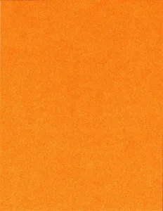 Bright Orange Non-Shed Glitter Cardstock 8.5"x11"