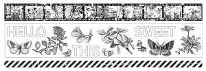 Field Notes PET Tape, 3 pieces