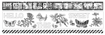 Field Notes PET Tape, 3 pieces