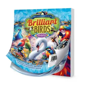The Square Little Book of Brilliant Birds