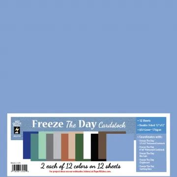 Freeze the Day 12x12 Solid Cardstock