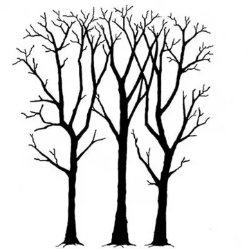 Spring Trees Clear Stamp by Lavinia