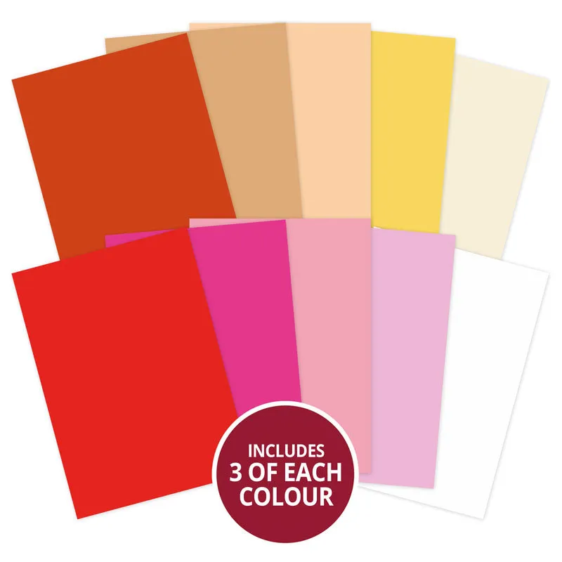 Butterfly Blush Adorable Scorable Selection