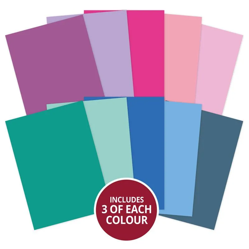 Moonlit Moments Adorable Scorable Selection