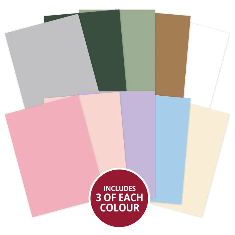 Heavenly Winter Forever Florals Matt-tastic Adorable Scorable Selection