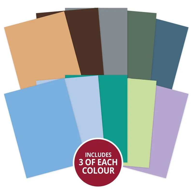 Animal Kingdom Adorable Scorable Selection