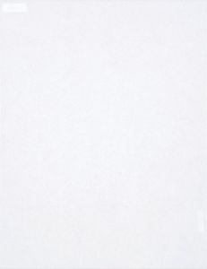 2 Sheets Snow Suede Specialty Paper