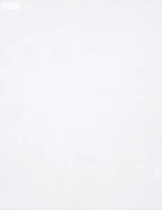 2 Sheets Snow Suede Specialty Paper