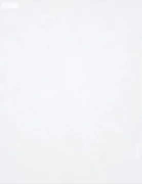 2 Sheets Snow Suede Specialty Paper