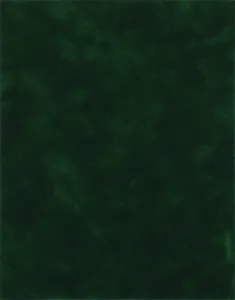 2 Sheets Forest Suede Specialty Paper