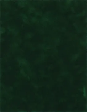 2 Sheets Forest Suede Specialty Paper