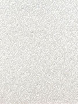 Peacock White 8.5"x11" Sheet