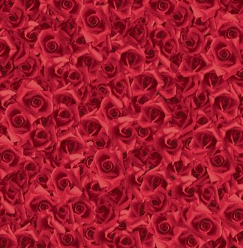 Red Roses 12x12, 15 Sheets