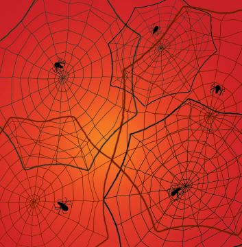 Halloween Spiders 12x12 Paper, 15 Sheets