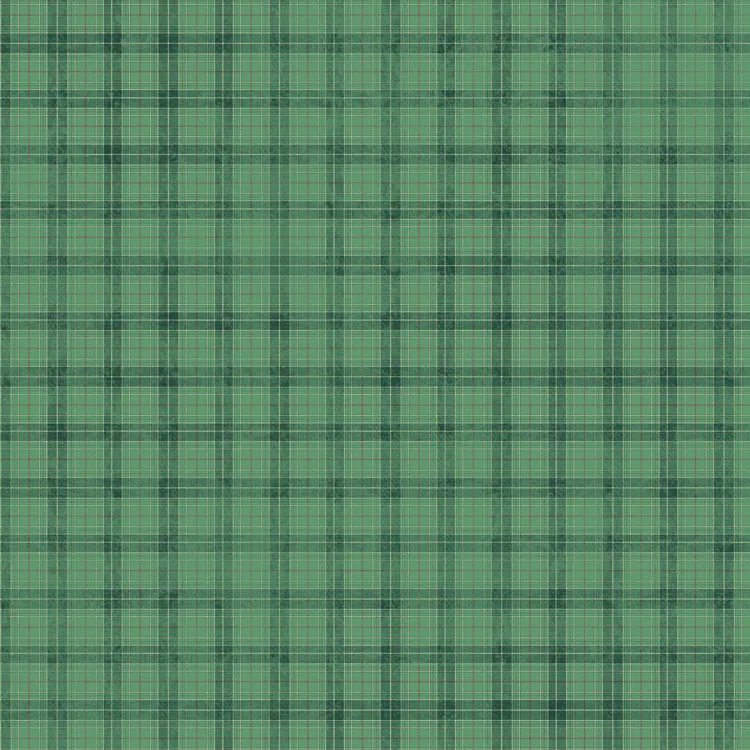Sheet  Green Plaid
