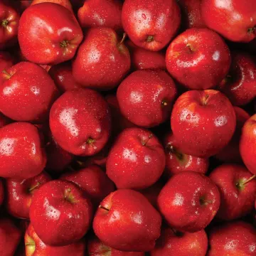 Sheet Red Apples