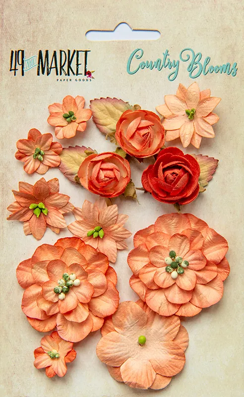 Tangerine Country Blooms, 12 pieces