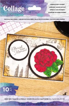 Cherish Every Moment Stamp Set