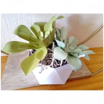 Stunning Succulents Die Set Ultimate Flora Simply Made Crafts