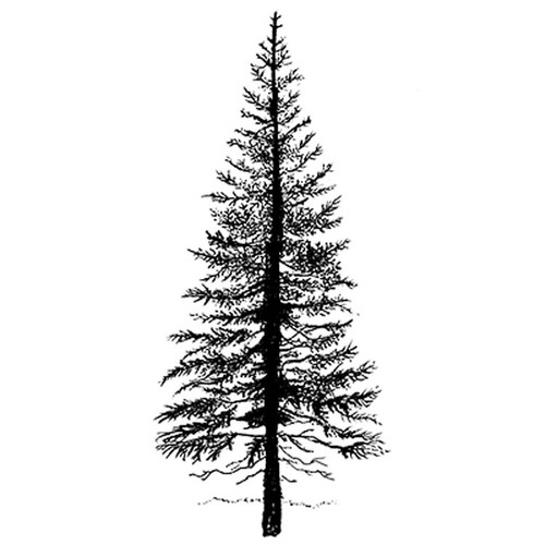 Fir Tree Clear Stamp