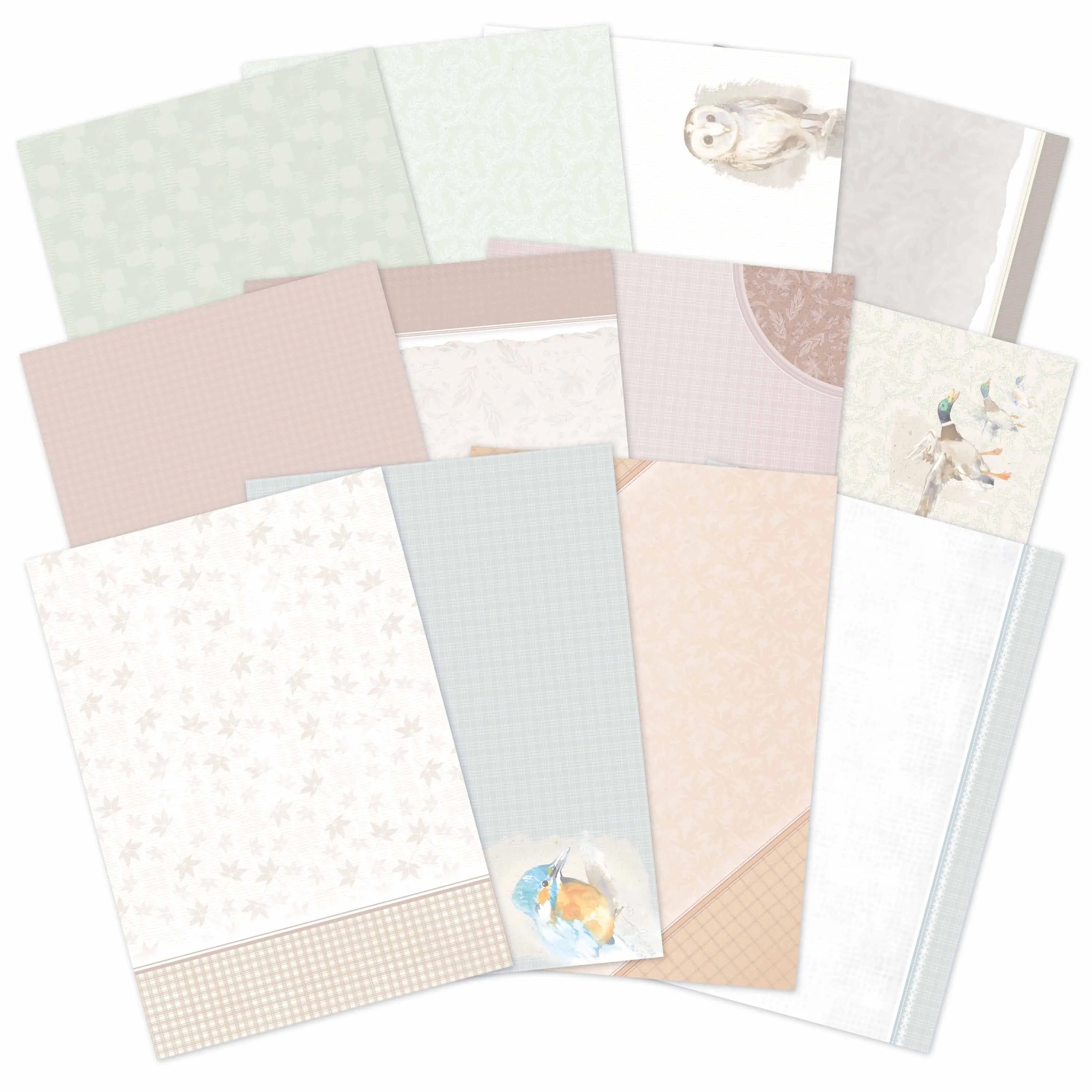 Woodland Wildlife Luxury Card Inserts