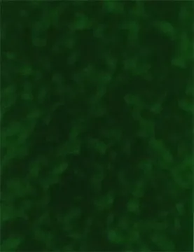 Forest Suede Paper,  8.5x11