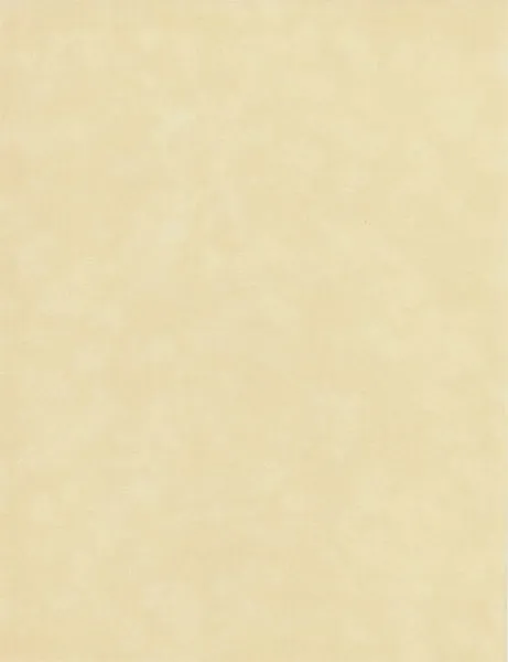 Cream Suede Paper,  8.5x11